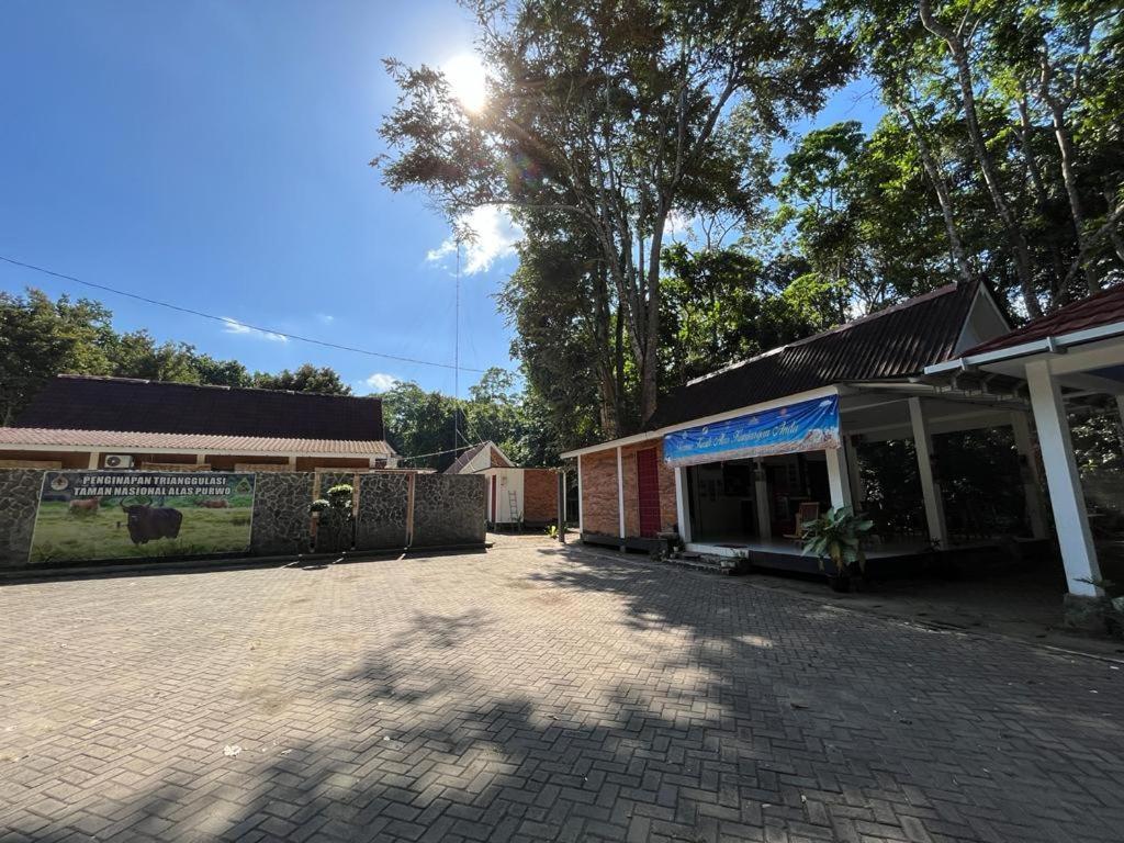 Capital O 92612 Penginapan D'Alas Purwo & Beachnearpadang Savana Sadengan Banyuwangi  Exterior photo