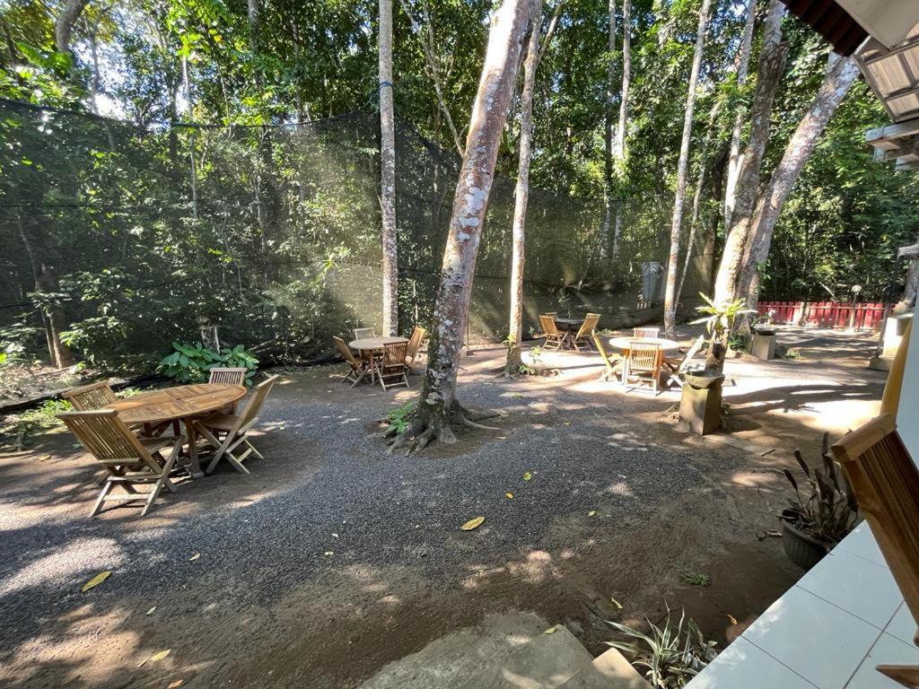 Capital O 92612 Penginapan D'Alas Purwo & Beachnearpadang Savana Sadengan Banyuwangi  Exterior photo